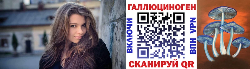 Галлюциногенные грибы мицелий  blacksprut маркетплейс  Махачкала 